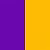 Purple/Gold